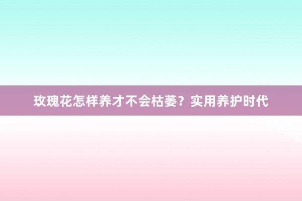 玫瑰花怎样养才不会枯萎？实用养护时代