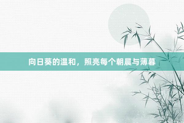 向日葵的温和，照亮每个朝晨与薄暮