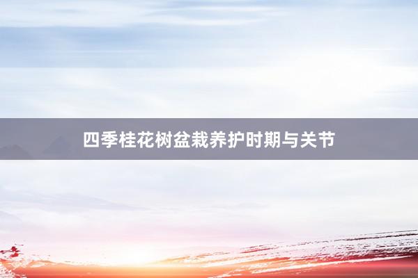 四季桂花树盆栽养护时期与关节